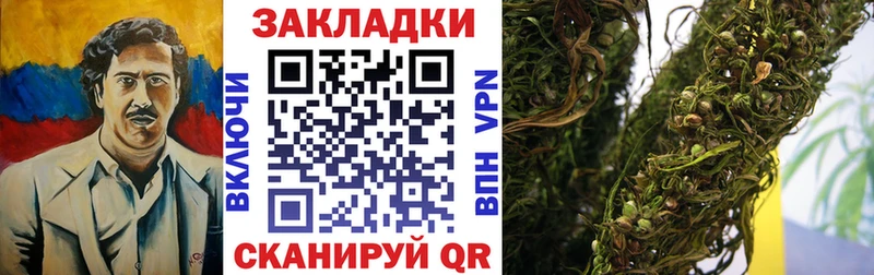 Все наркотики Ростов Галлюциногенные грибы СК ГАШИШ МЕФ КОКАИН АМФ