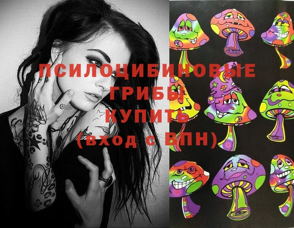 прущий лед Аркадак