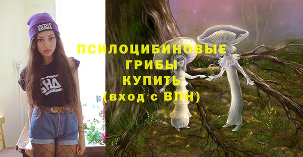 прущий лед Аркадак