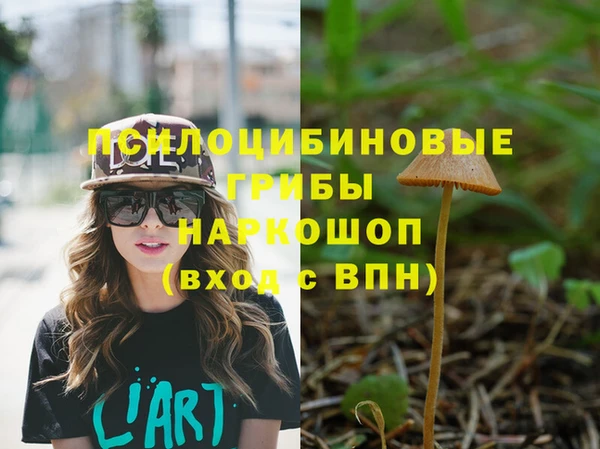 прущий лед Аркадак