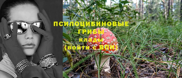 сатива Арсеньев