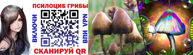 blacksprut ссылка  Ростов  Галлюциногенные грибы мухоморы  хочу наркоту 